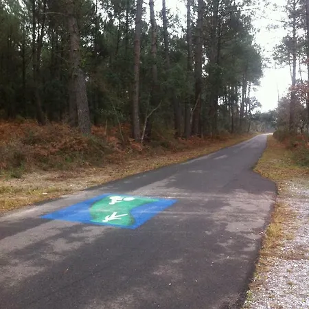 Loft Zen Climatise Soustons